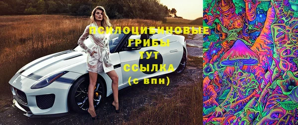 ГАЛЛЮЦИНОГЕННЫЕ ГРИБЫ Каменногорск