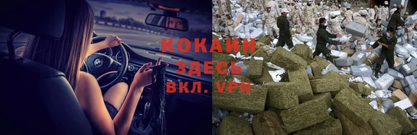 ГАЛЛЮЦИНОГЕННЫЕ ГРИБЫ Каменногорск