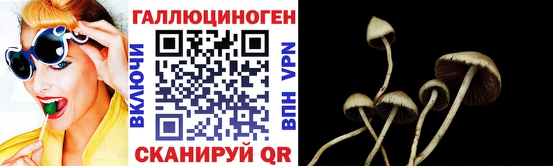 Галлюциногенные грибы Psilocybe продажа наркотиков Брянск
