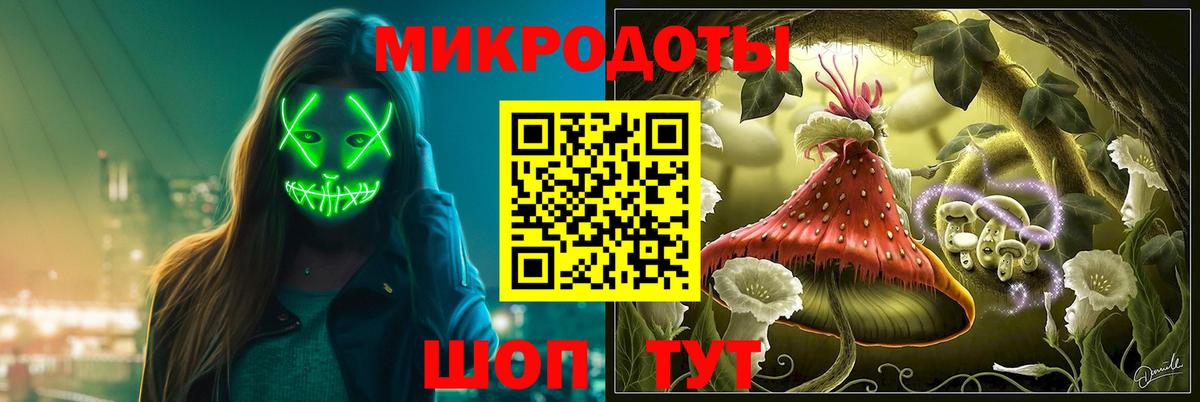 Псилоцибиновые грибы Psilocybine cubensis  Брянск 